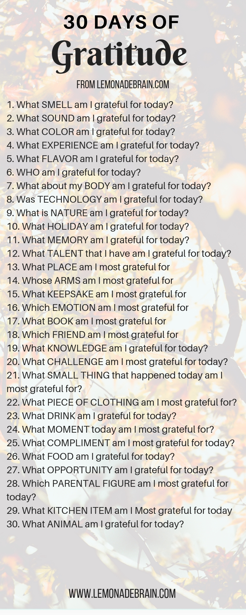 30 Days Of Gratitude Challenge - Lemonade Brain